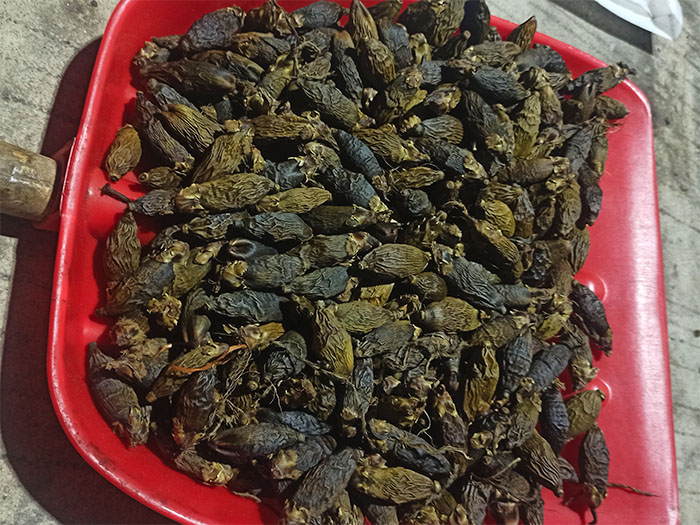 槟榔烘干案例